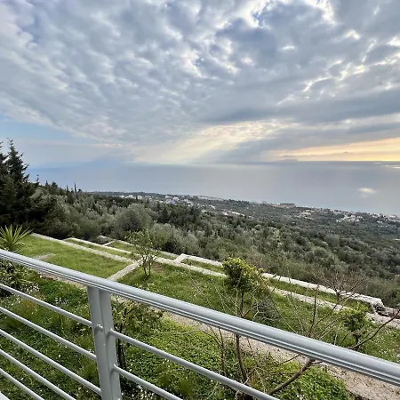 Palasa View